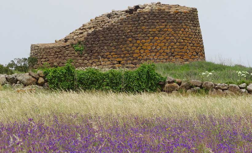Nuraghe ruin with purple flowers in front