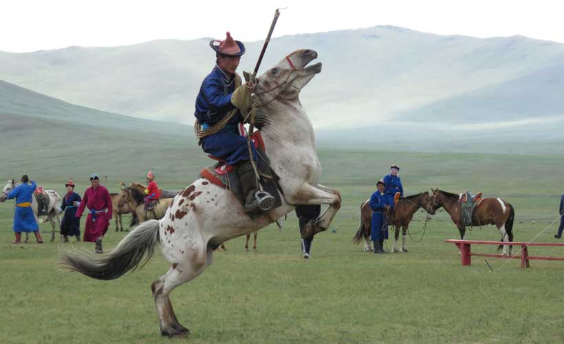 Beautiful Mongolian horse and rider at Naadam
