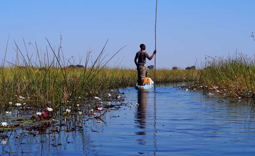Canoe in the Okavango delta