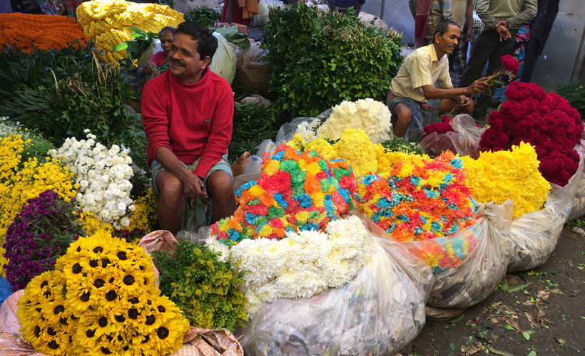 Man selling bunches of flowers
