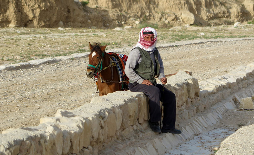 Local man sitting on fence with horse