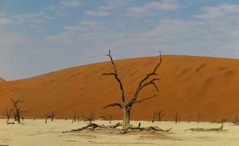 Red dunes in Sossusvlei