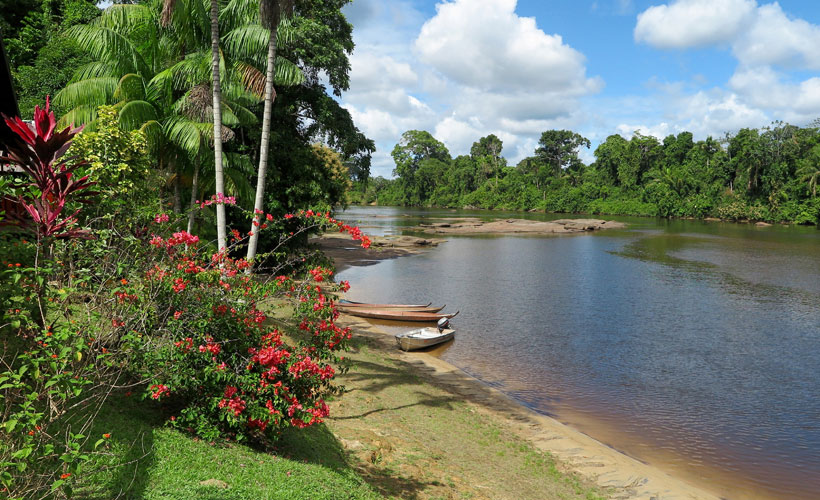 View of the Suriname River