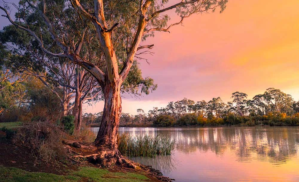 Australia & New Zealand